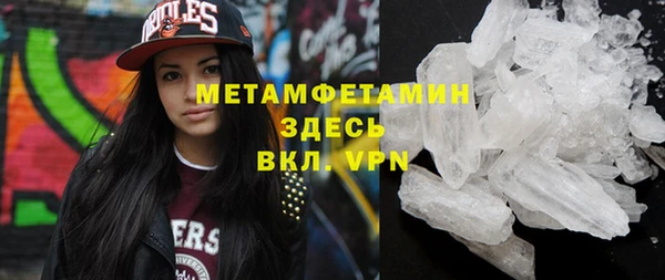 сатива Беломорск