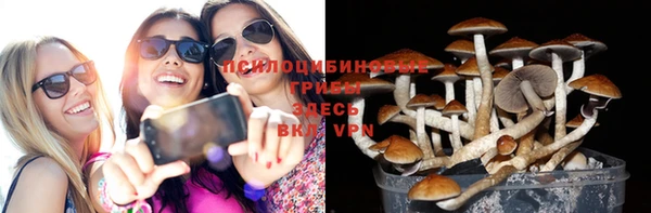 первитин Белоозёрский