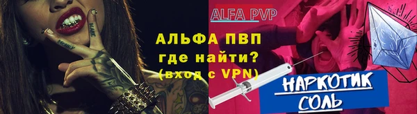сатива Беломорск