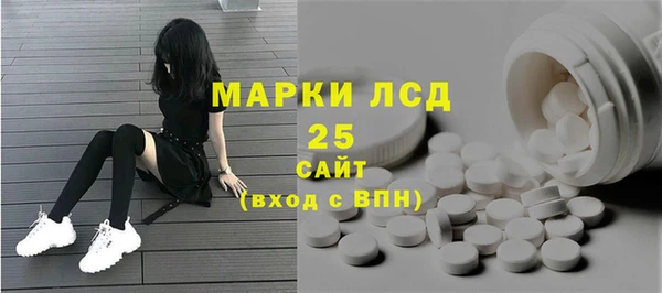 сатива Беломорск