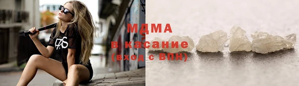 сатива Беломорск