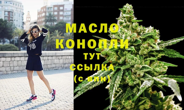сатива Беломорск