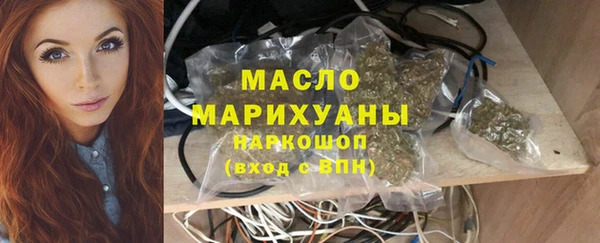 сатива Беломорск