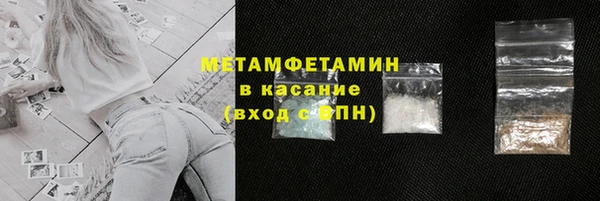 сатива Беломорск