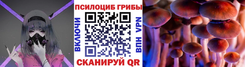 Псилоцибиновые грибы Psilocybe  нарко площадка как зайти  Кириши 
