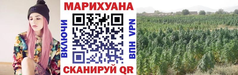 Шишки марихуана ГИДРОПОН  Кириши 